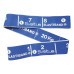 Купити Резинка для фітнеса  SVELTUS ELASTIBAND 20 kg (SLTS-0171) у Києві - фото №1